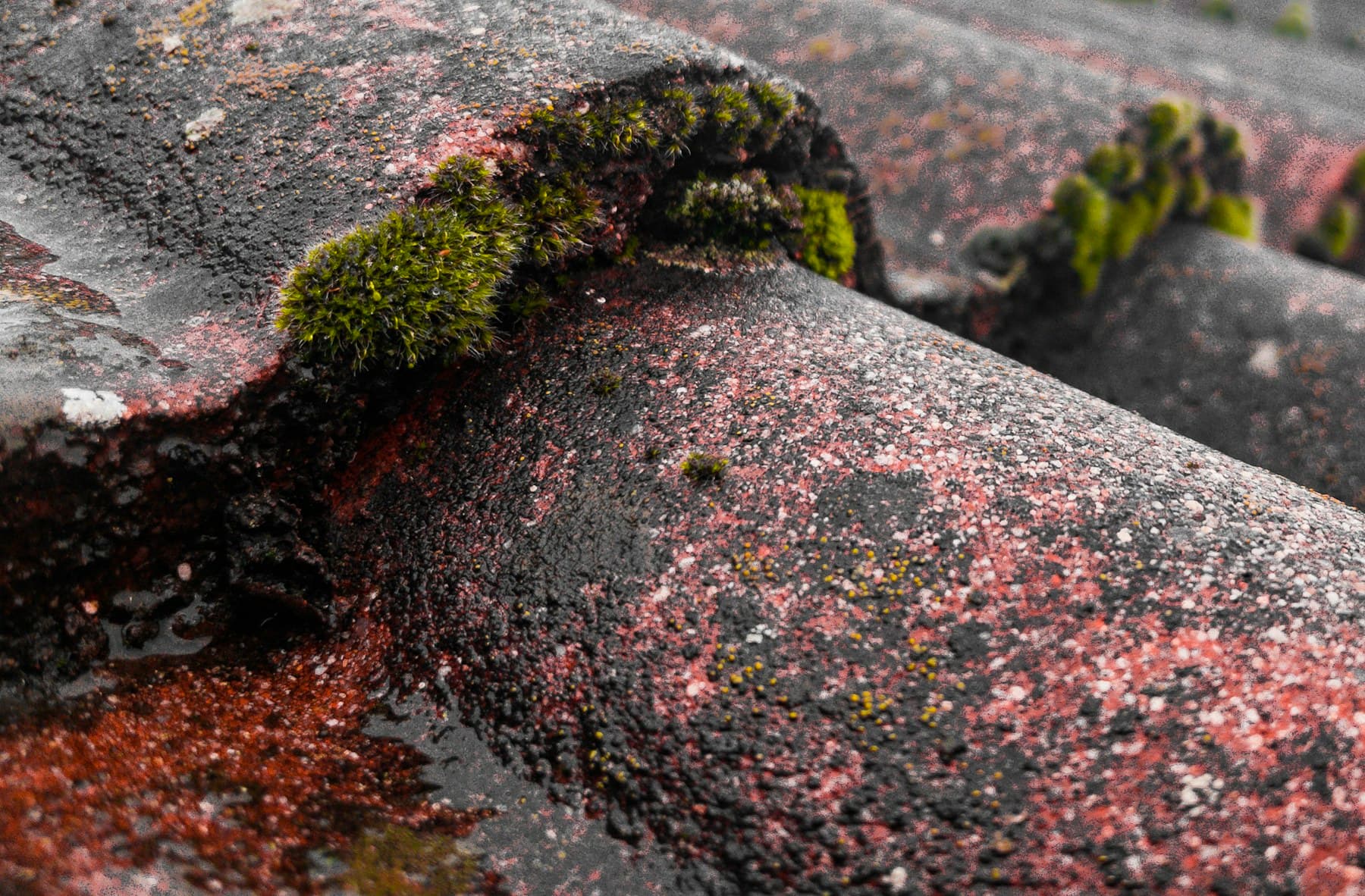 Weathered roof tiles shown using licensed stock photography